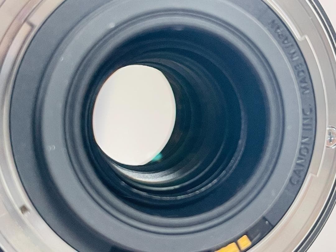 ★美品★Canon EF-S 18-200mm F3.5-5.6 IS キヤノン