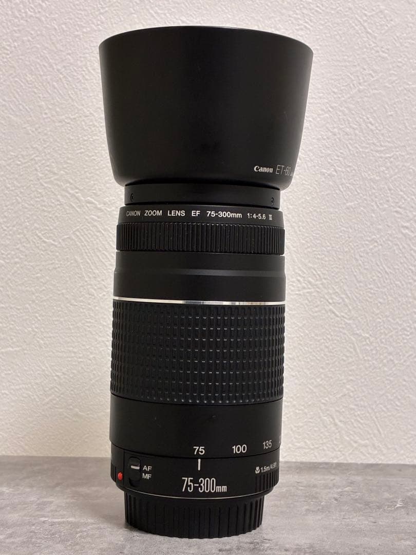 ⭐️純正フード付⭐️ Canon EF 75-300mm F4-5.6 III 望遠