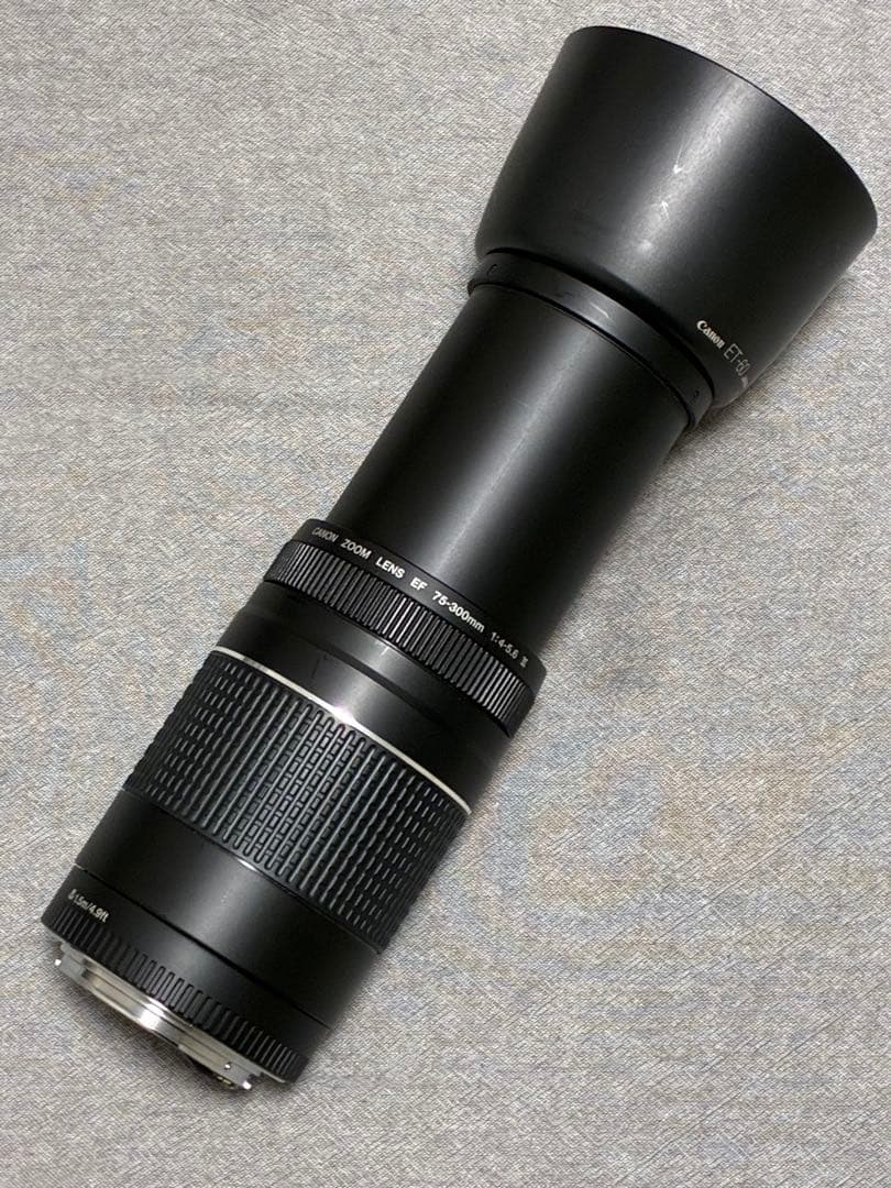 ⭐️純正フード付⭐️ Canon EF 75-300mm F4-5.6 III 望遠