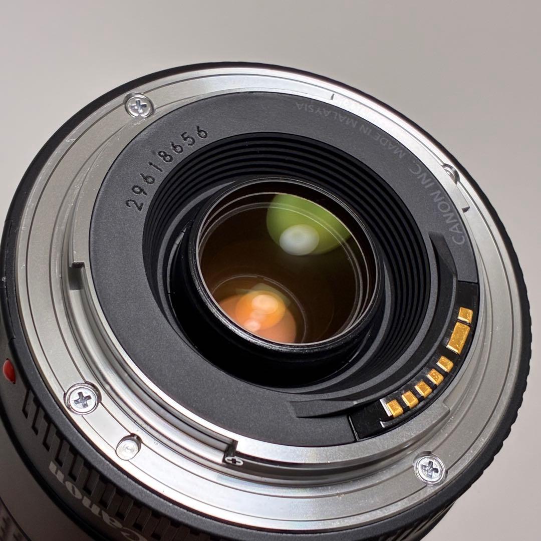 ⭐️純正フード付⭐️ Canon EF 75-300mm F4-5.6 III 望遠