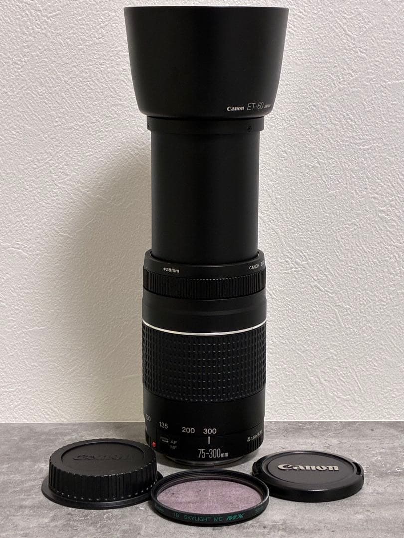 ⭐️純正フード付⭐️ Canon EF 75-300mm F4-5.6 III 望遠
