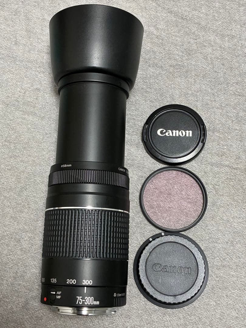 ⭐️純正フード付⭐️ Canon EF 75-300mm F4-5.6 III 望遠