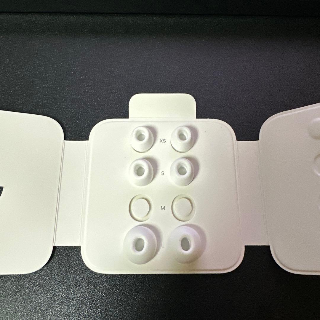 【最終値下げ】AirPods Pro2 本体 充電ケース(Lightning)