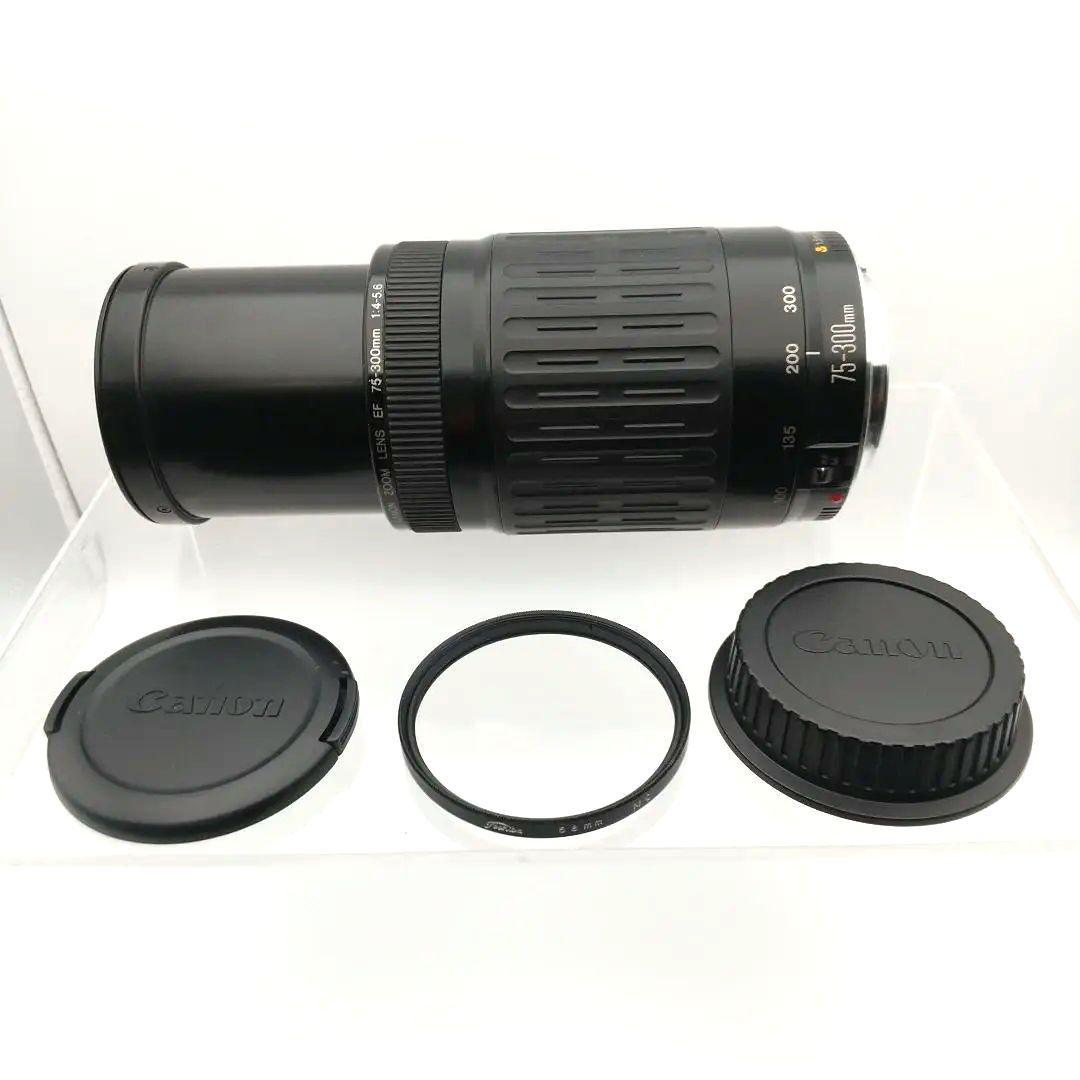 【撮影例付・美品】 CANON EF 75-300mm F4-5.6 USM