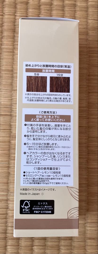 ヘアボーテ エクラ ボタニカルエアカラーフォームup 2箱　ブラシ付き