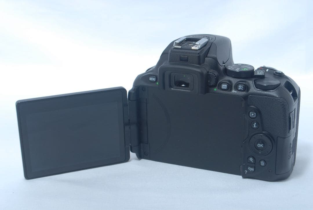 美品✨Nikon D5600 手ブレ補正付AF-Pレンズセット スマホ転送対応