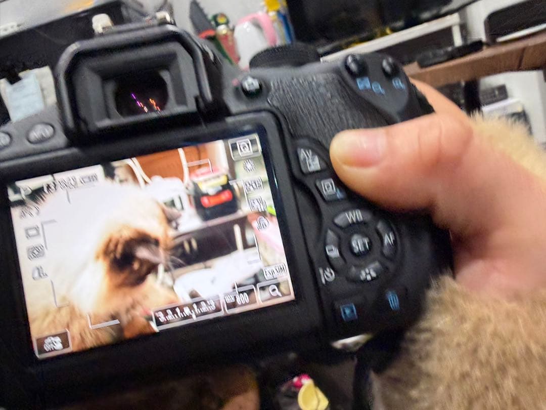 【美品】Canon EOS kiss x7i デジタル一眼レフカメラ