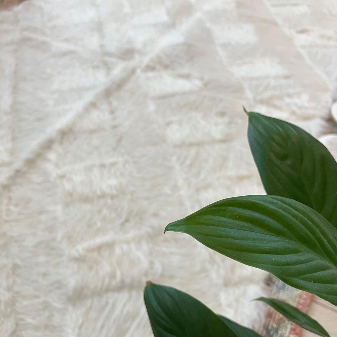 ラスト白　新品wool100％ホワイト バッターニエ　トルコヴィンテージラグ