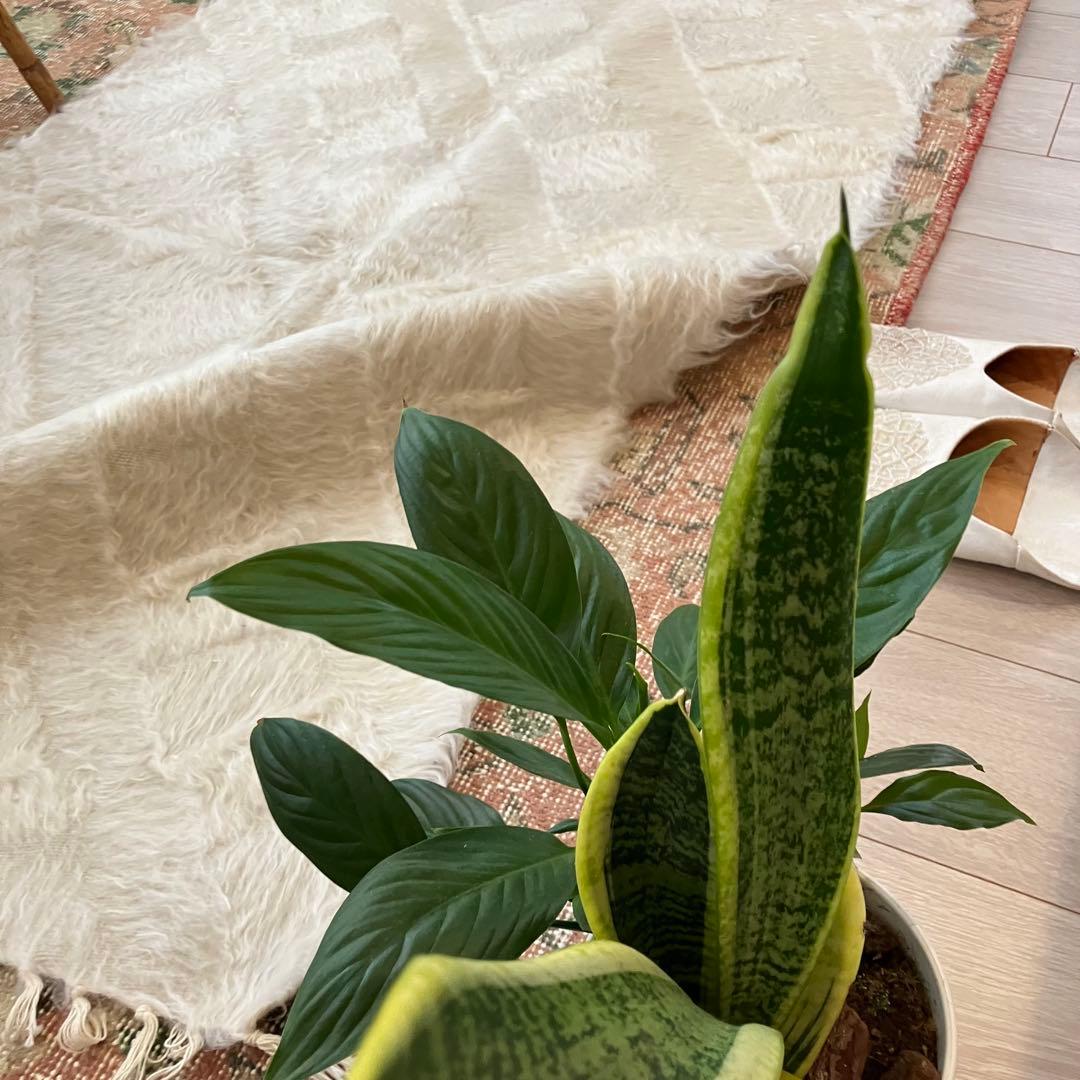 ラスト白　新品wool100％ホワイト バッターニエ　トルコヴィンテージラグ