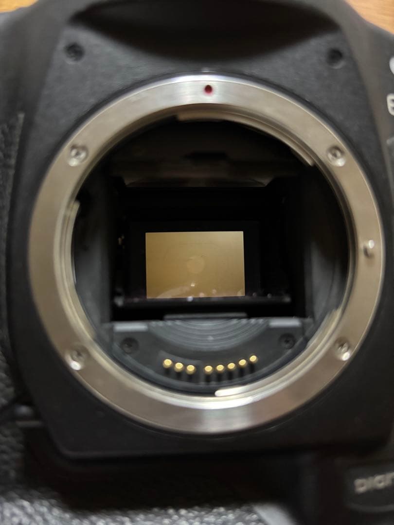 【限定値引き中】Canon EOS-1D デジタル一眼レフカメラ バッテリー付