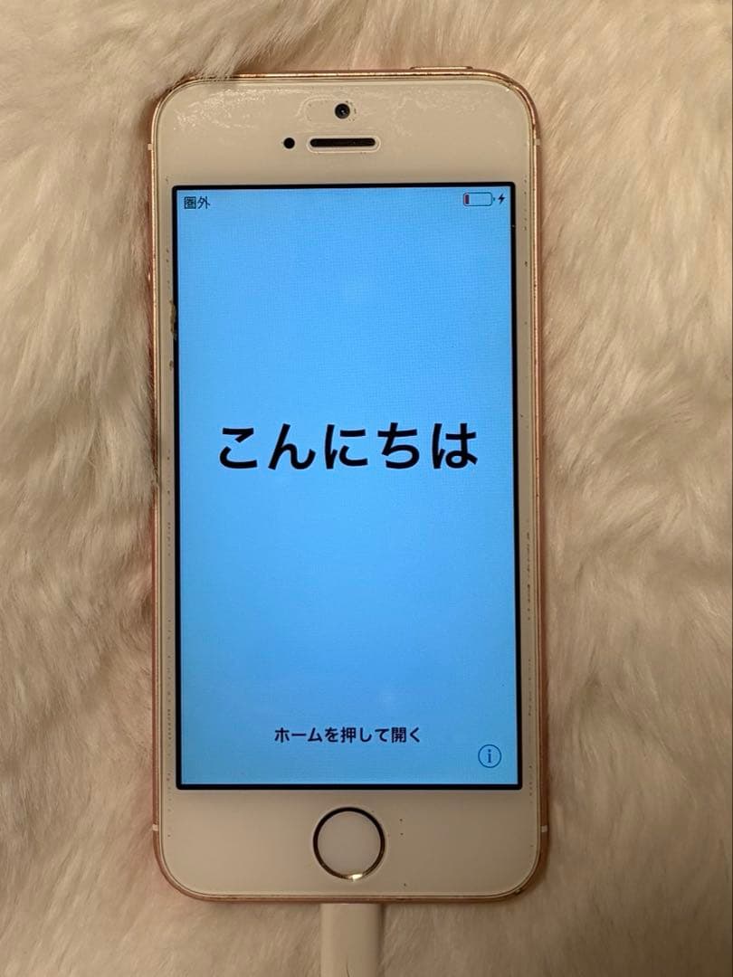 iphone se 本体