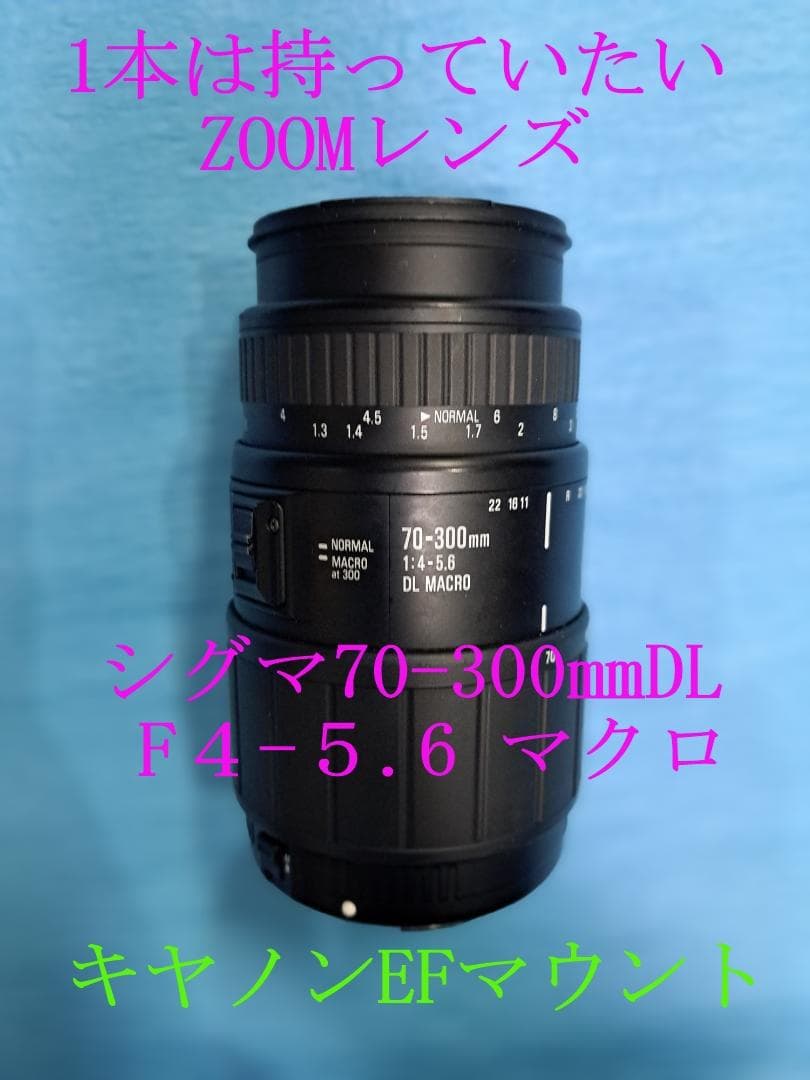 本日特売　シグマ70-300mm　DL F4-5.6 マクロ 　キヤノン用