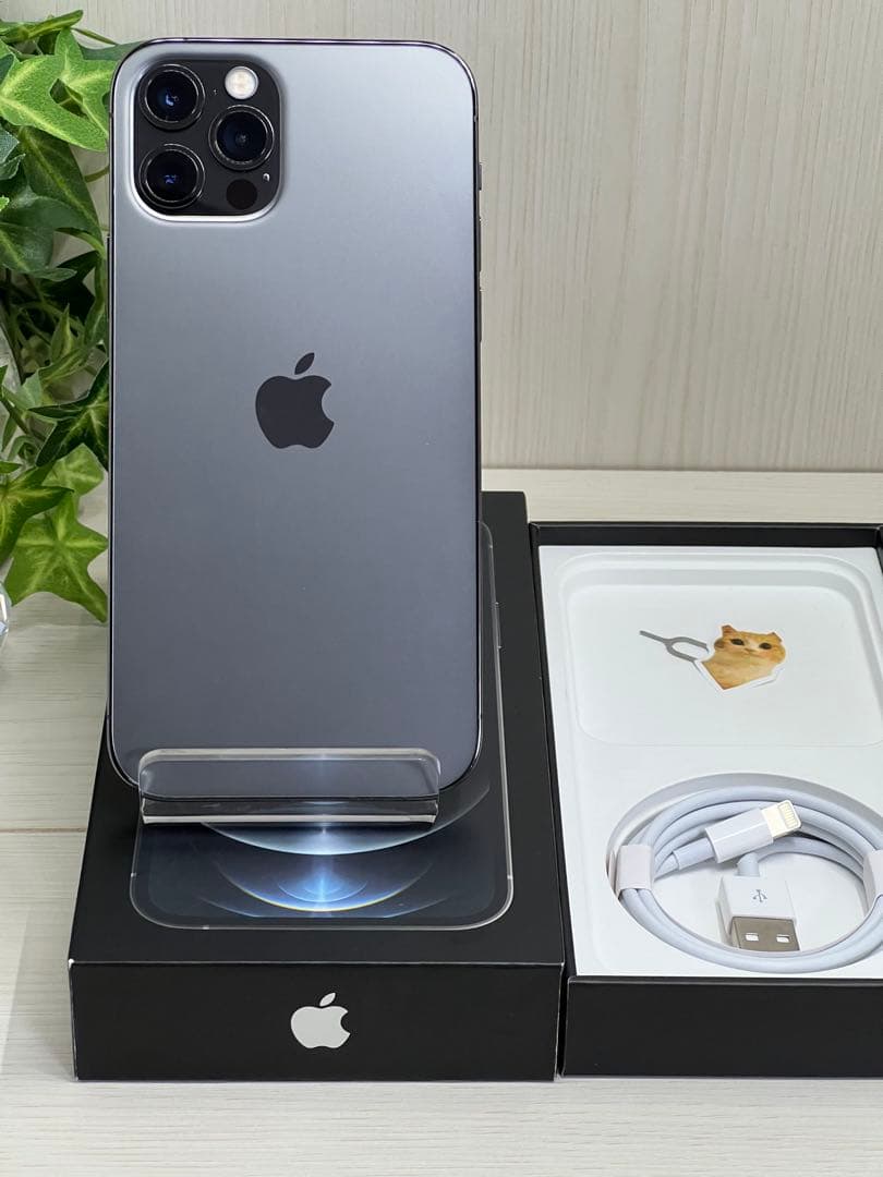 ✅美品・100％✨iPhone 12 pro ✨256GB❣️SIMフリー