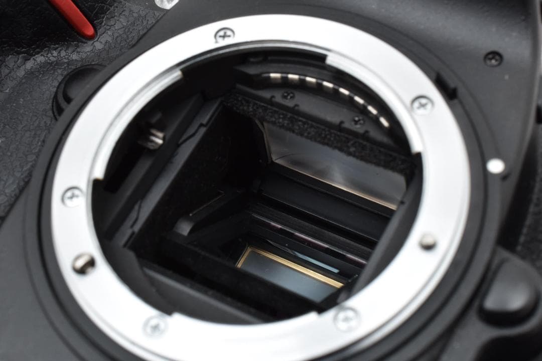 ★美品★Nikon ニコン D300s ボディ #20288