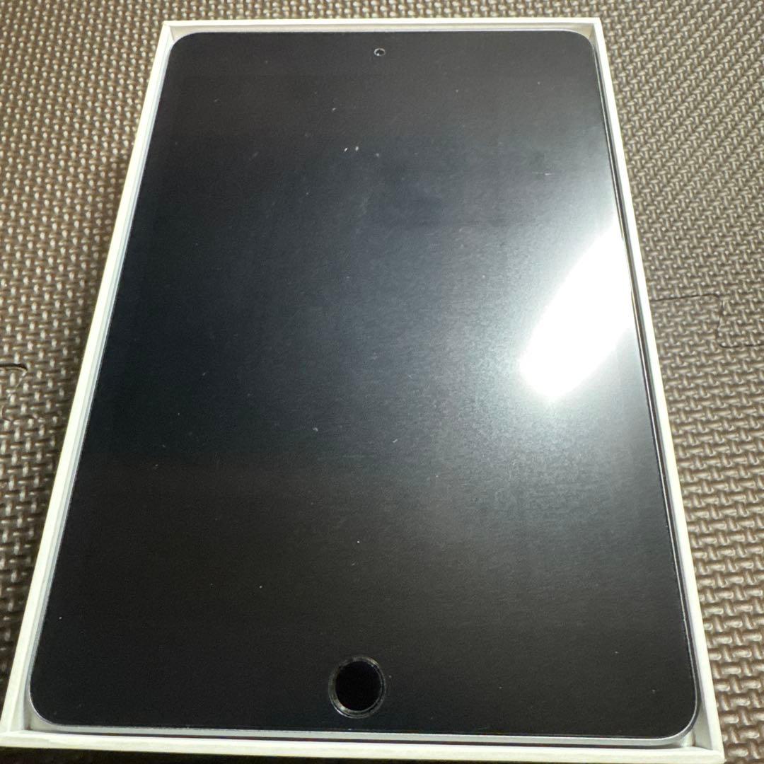 iPad mini Wi-Fiモデル 第5世代256GB スペースグレイ
