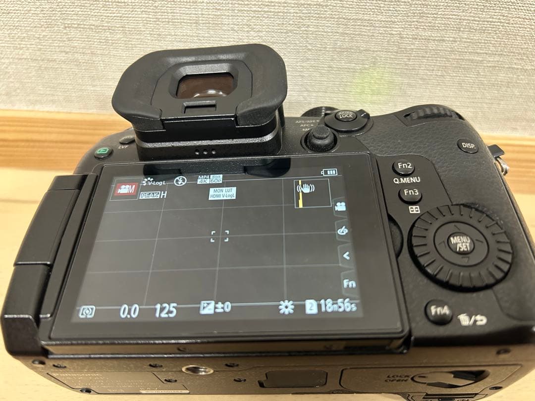 【LUMIX】美品GH5 +V-Log撮影可能　おまけ付
