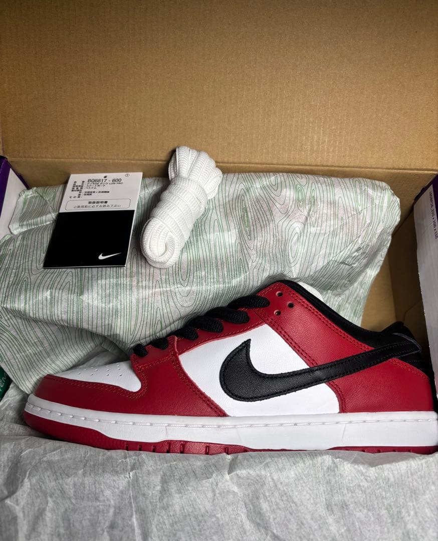 ナイキ SB ダンク ロー プロ ほぼ未使用size27.0㎝