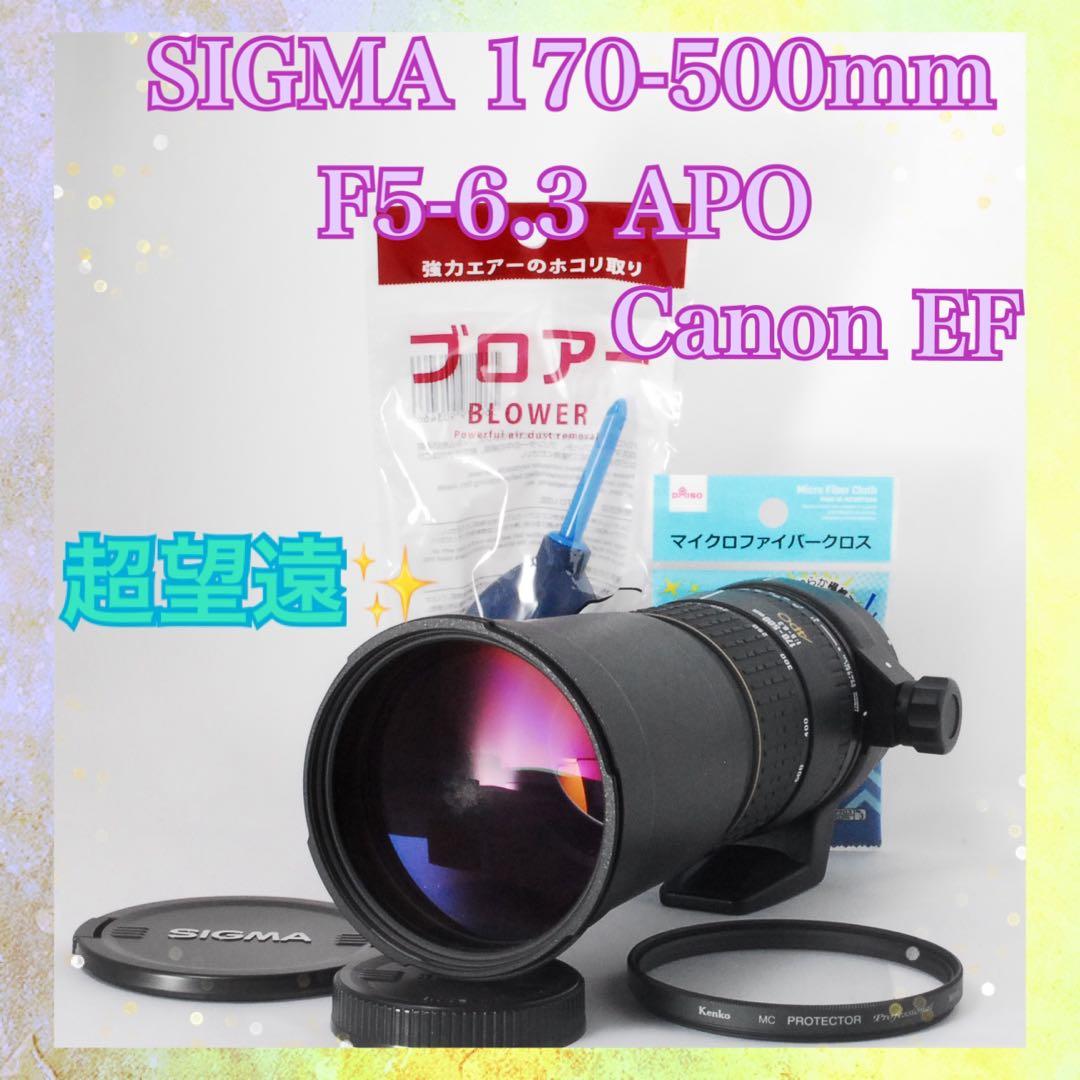 ❤️SIGMA APO 170-500mm Canon EF❤️動作OK❤️美品❤️