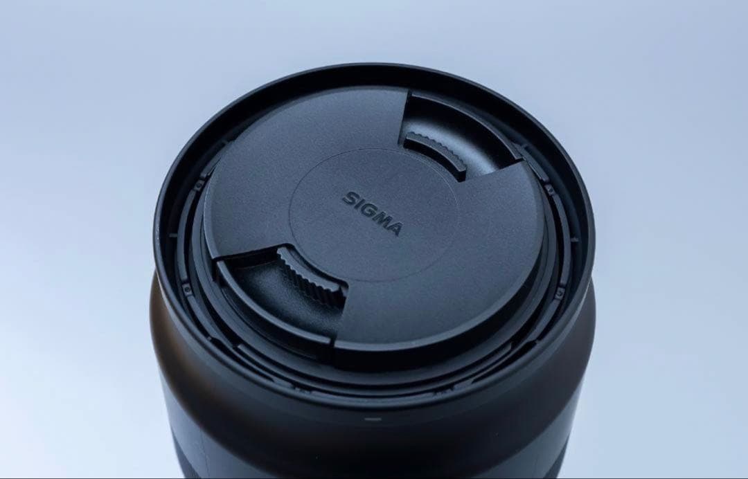 SIGMA 100-400mm F5-6.3 DG OS HSM キャノン用