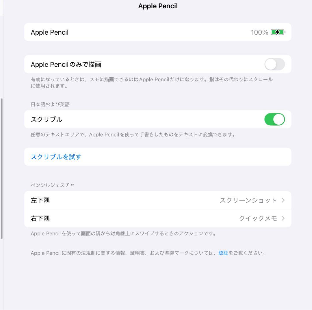 Apple Pencil USB-C 美品 限定保証あり 動作確認済み