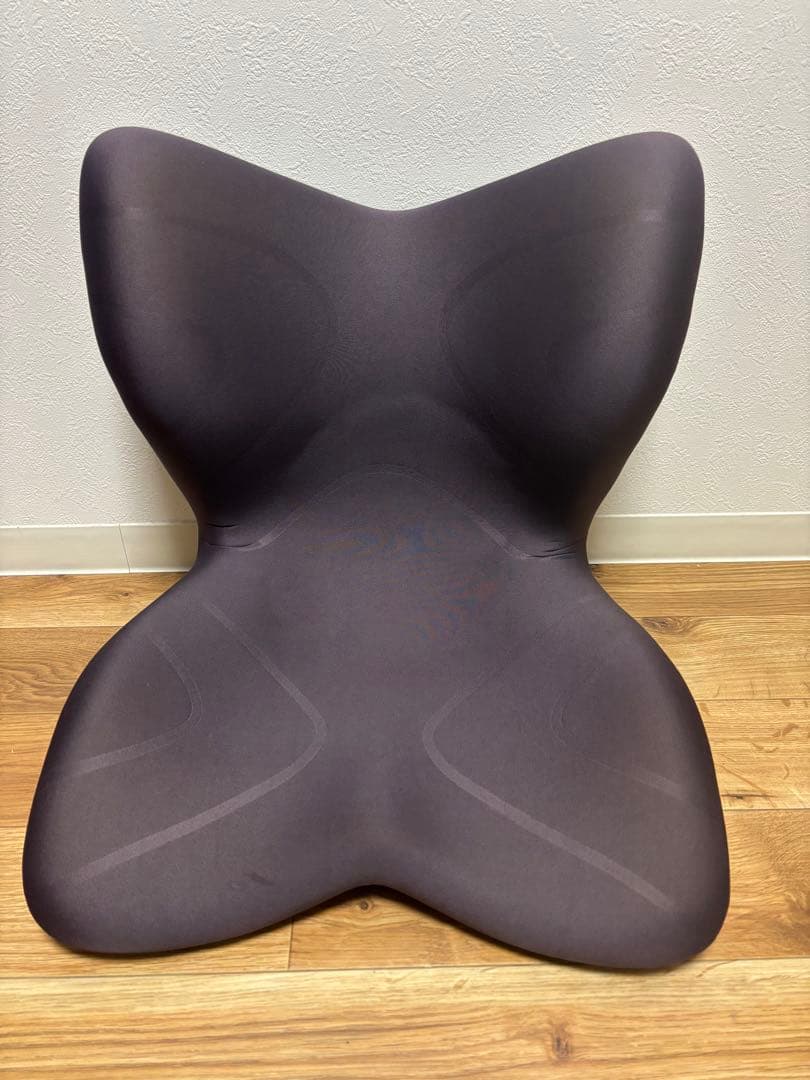 スタイルプレミアムMTG 姿勢矯正 骨盤サポートチェア座椅子中古美品