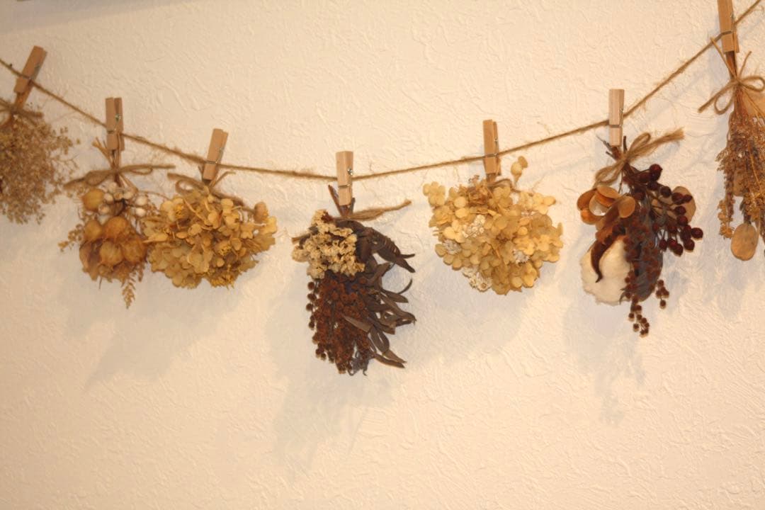 ✨超望遠レンズデビュー✨Canon Kiss X2✨ ダブルレンズ✨作例あり✨