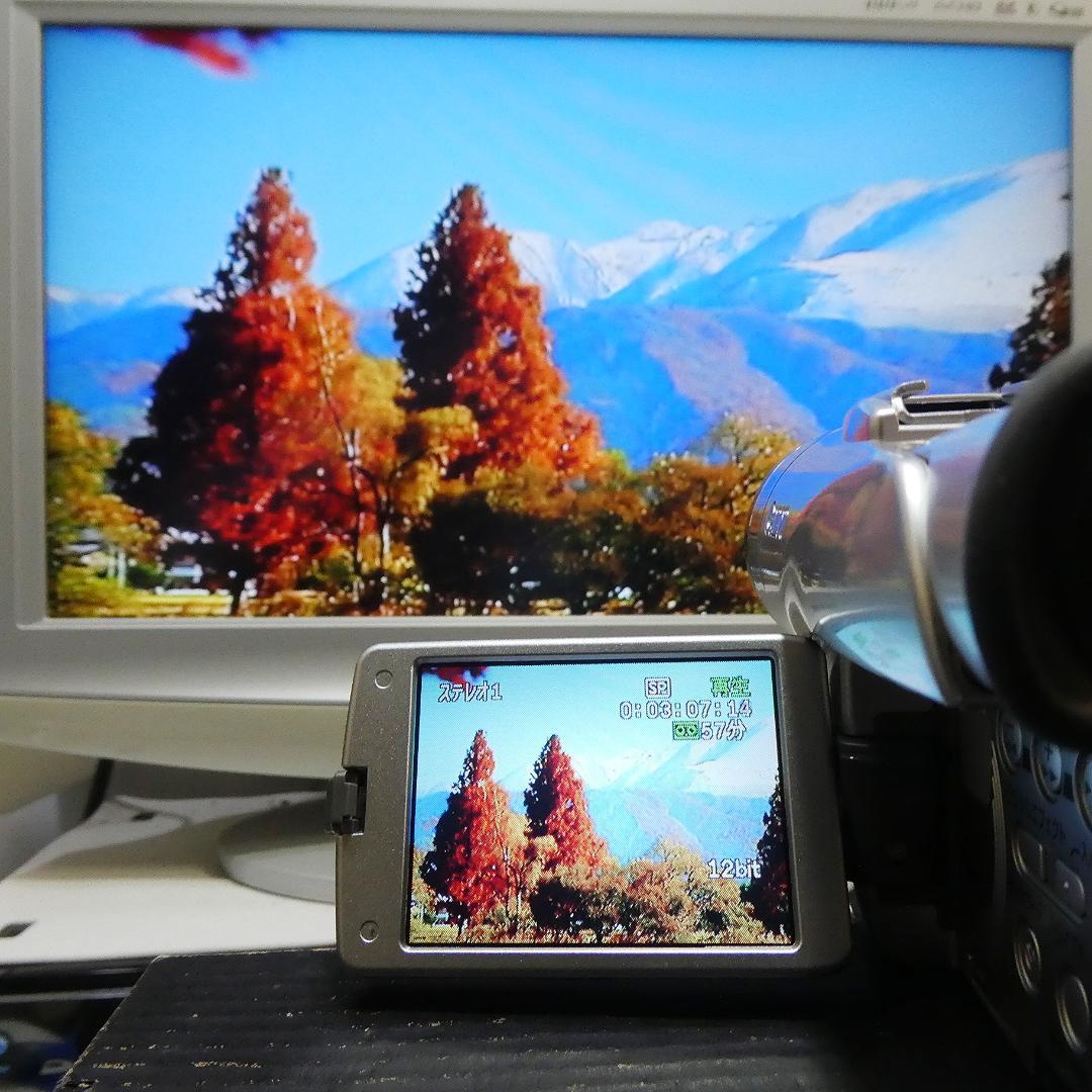 動作良好 キャノン DM-FV M100 MiniDVビデオカメラDVD化に最適