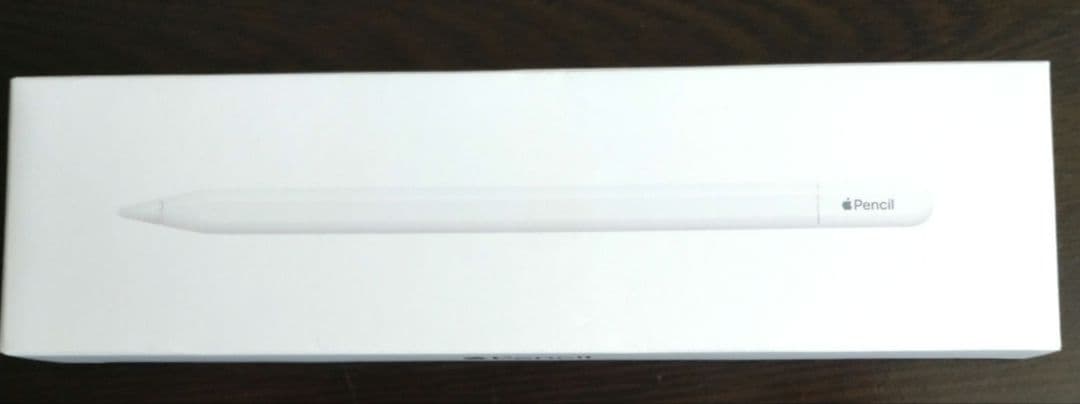 Apple Pencil （USB-C） 元箱付き
