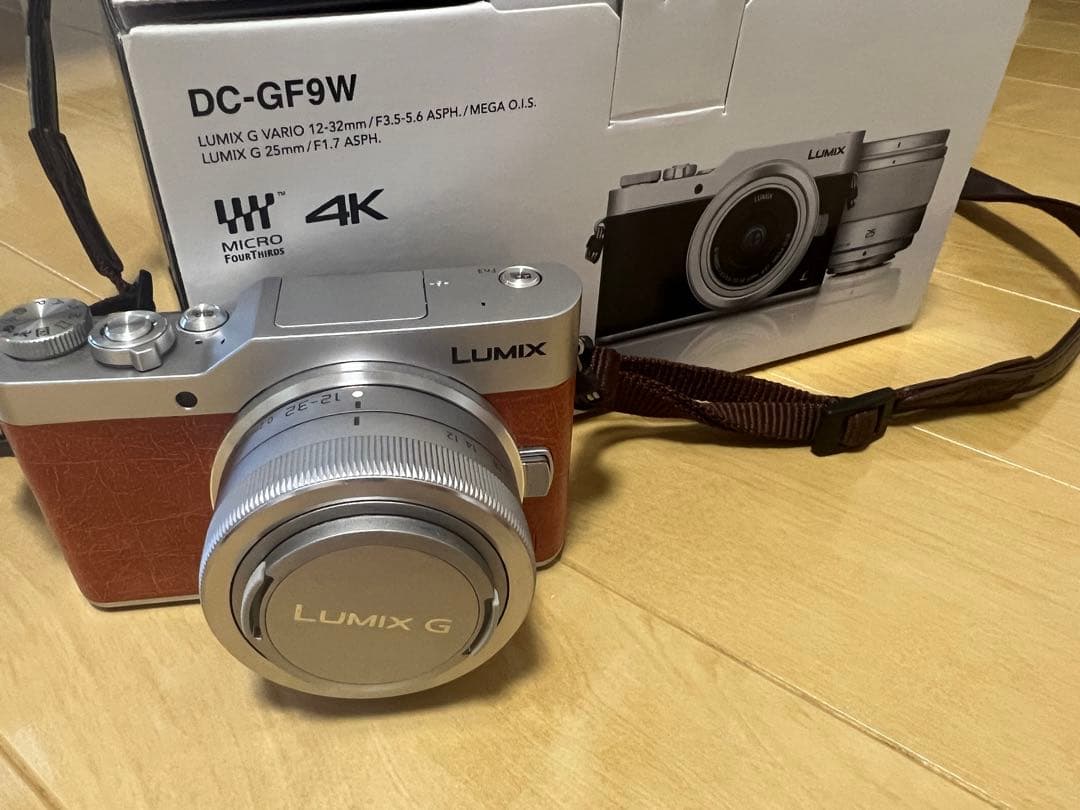 【美品・純正ショルダー付き】Panasonic LUMIX DC-GF9