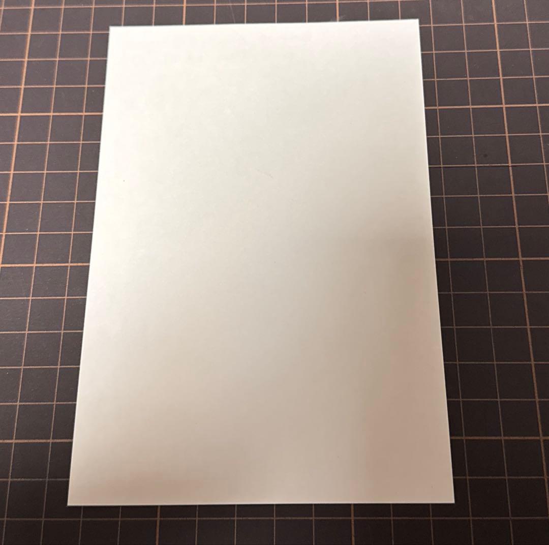 未来日記 1巻ゲーマーズ特典 イラストペーパー 我妻由乃