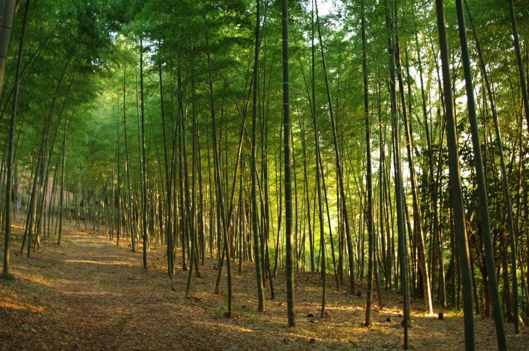 超美品PENTAX K-5 II＋18-135mm ＋ストロボ＋ショット数226