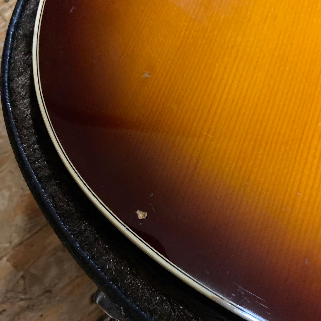 Greco 101/ GibsonJ-50タイプ