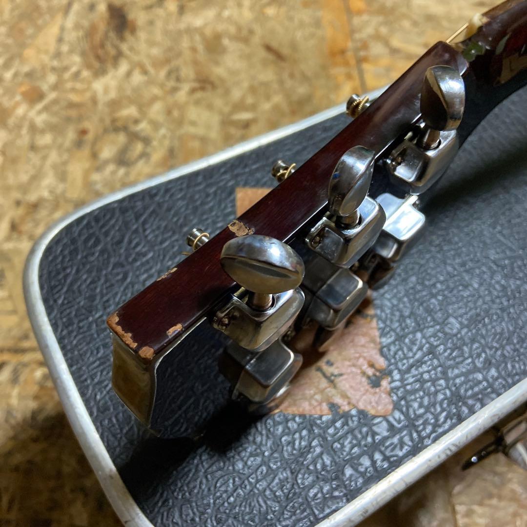 Greco 101/ GibsonJ-50タイプ