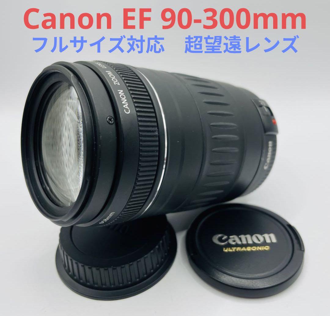 1月26日限定価格【超望遠レンズ】Canon EF 100-300mm USM