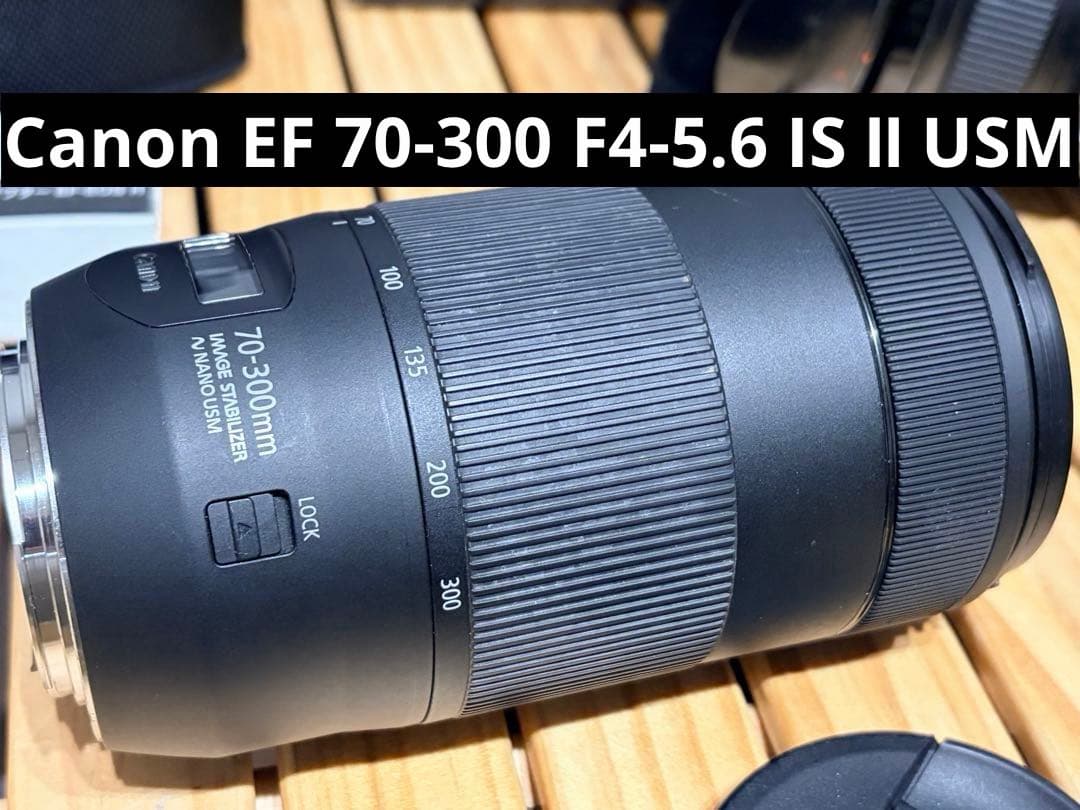 Canon マウントアダプタ EF-EOS R+ EFレンズ2本セット