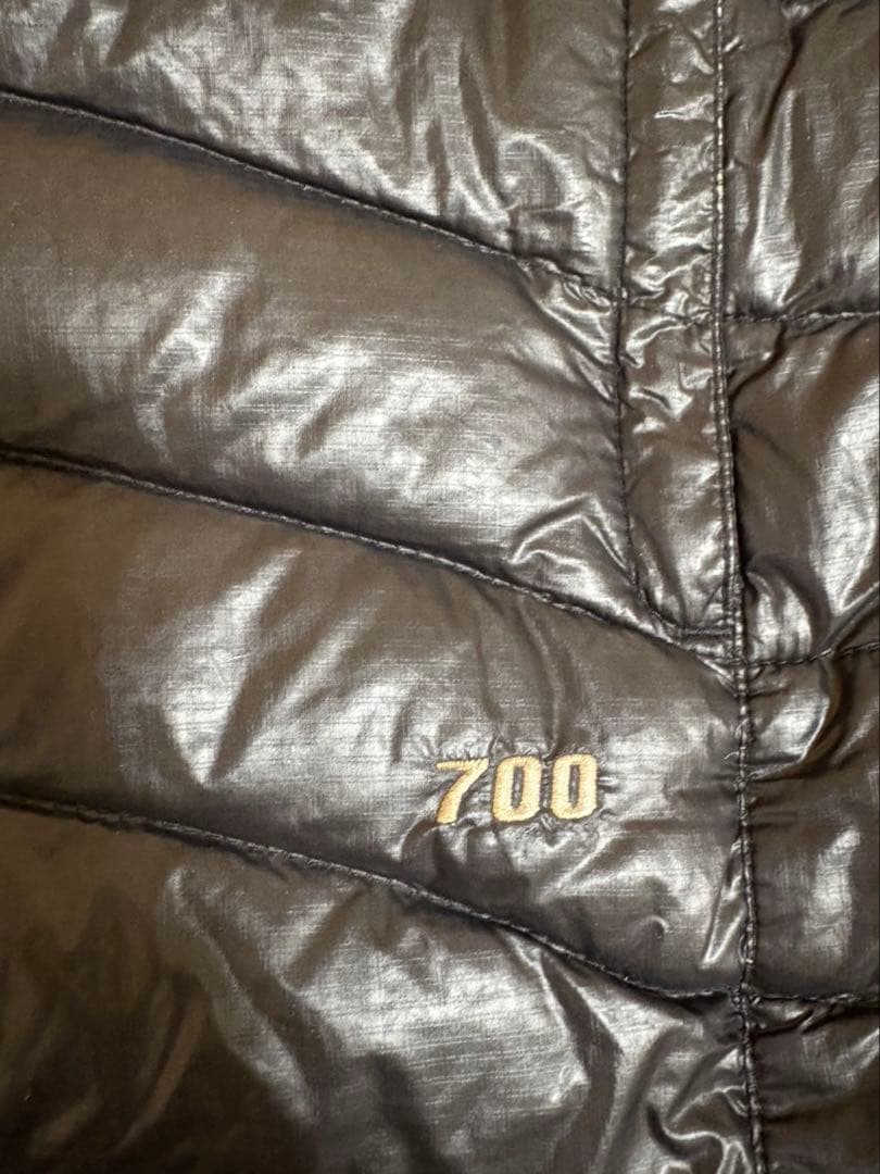THE NORTH FACE Summit Series 700 ダウンベスト