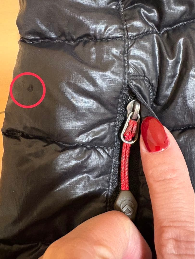 THE NORTH FACE Summit Series 700 ダウンベスト