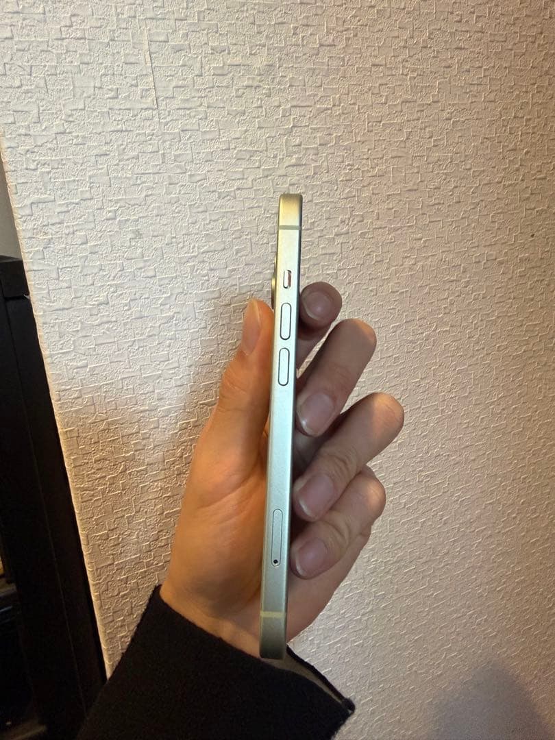 Apple iPhone 15 本体 128GB