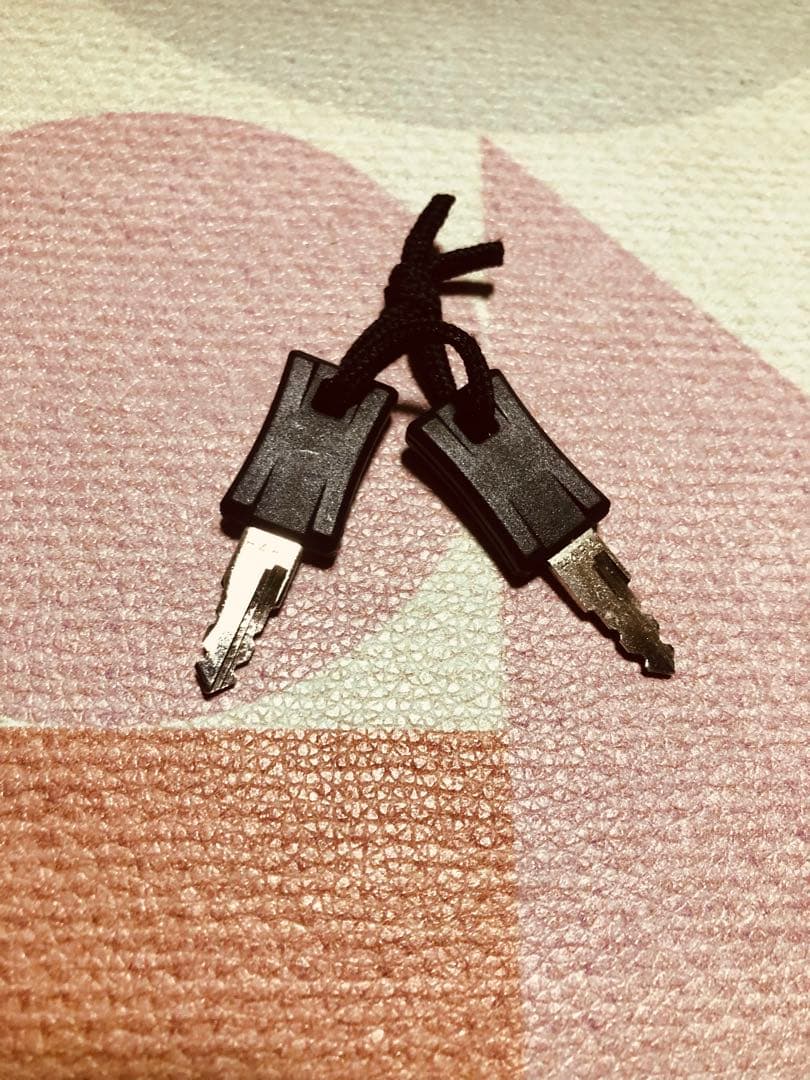 protex キャリーカート RACING r-2