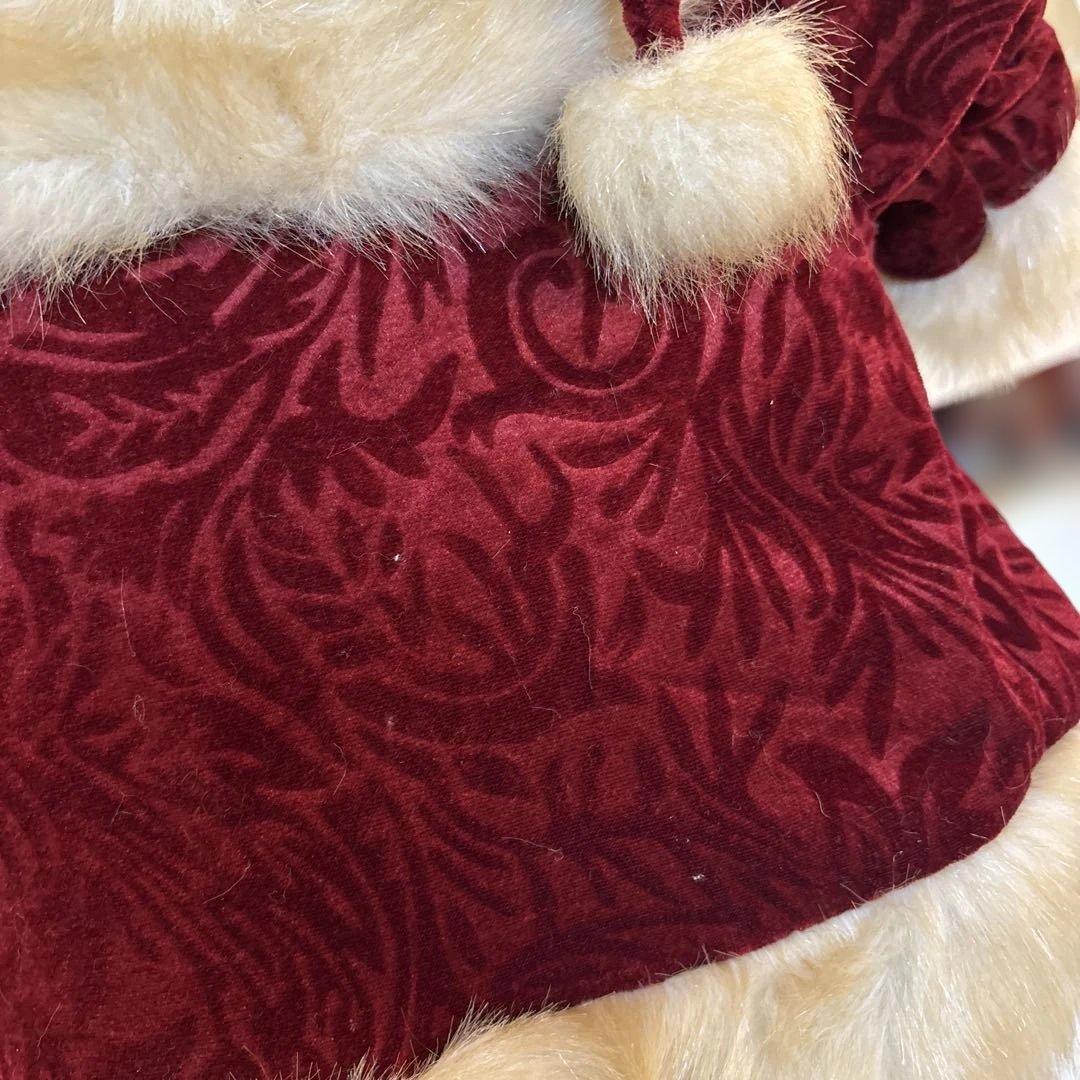 アメリカからやってきたサンタさん