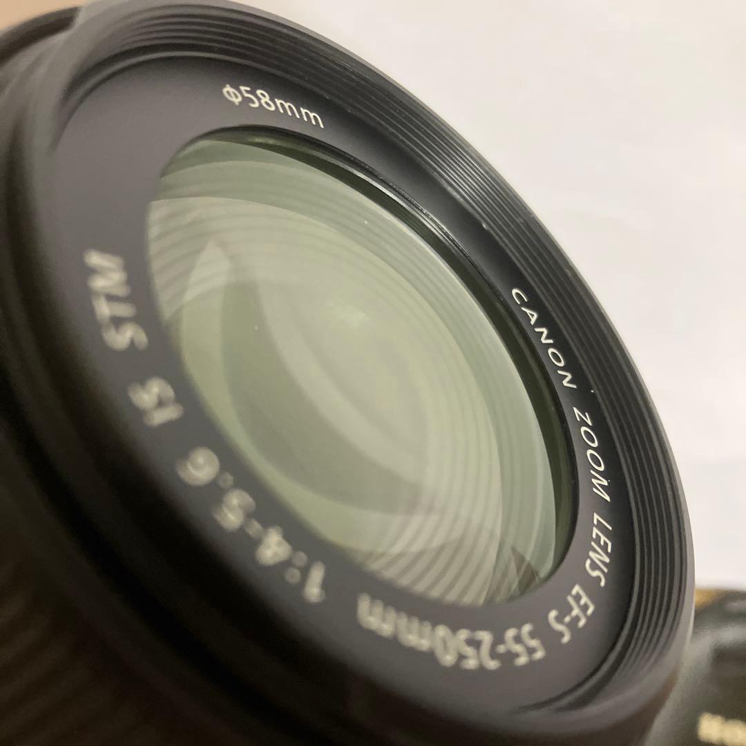 Canon EF-S 55-250mm F4-5.6 IS STM ズームレンズ