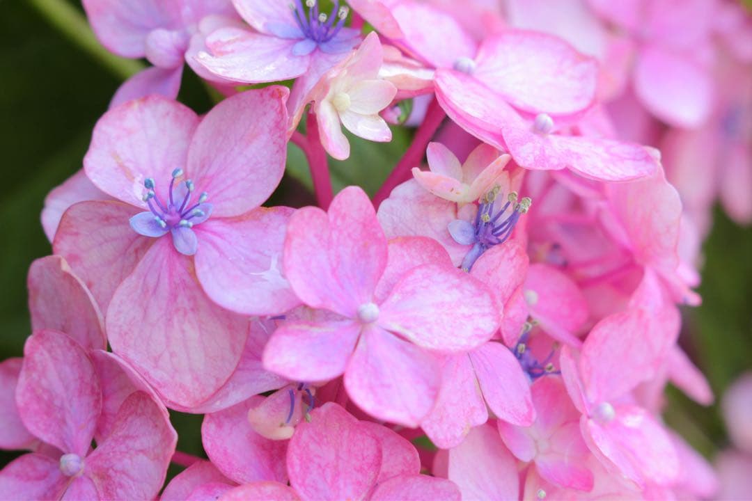 インダスター　オールドレンズ　星