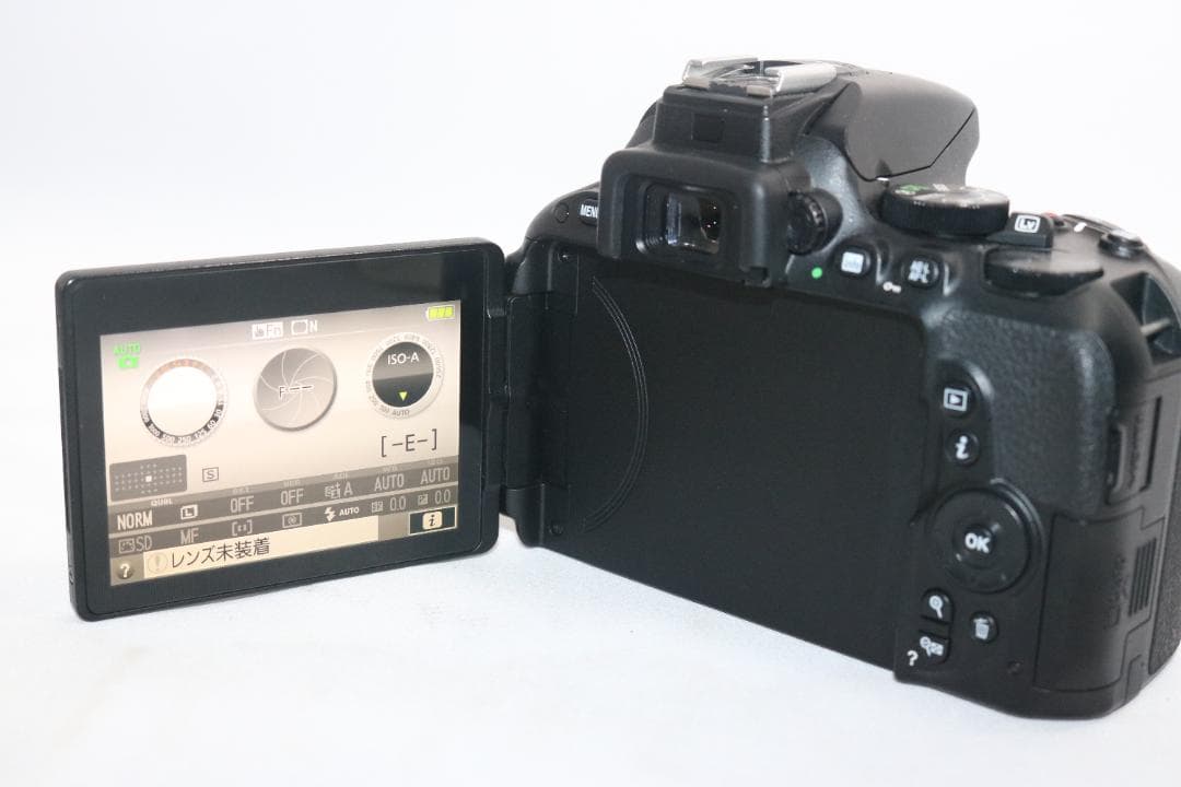 美品⭐大人気！⭐Nikon D5500 望遠レンズセット⭐ 初心者 一眼レフ