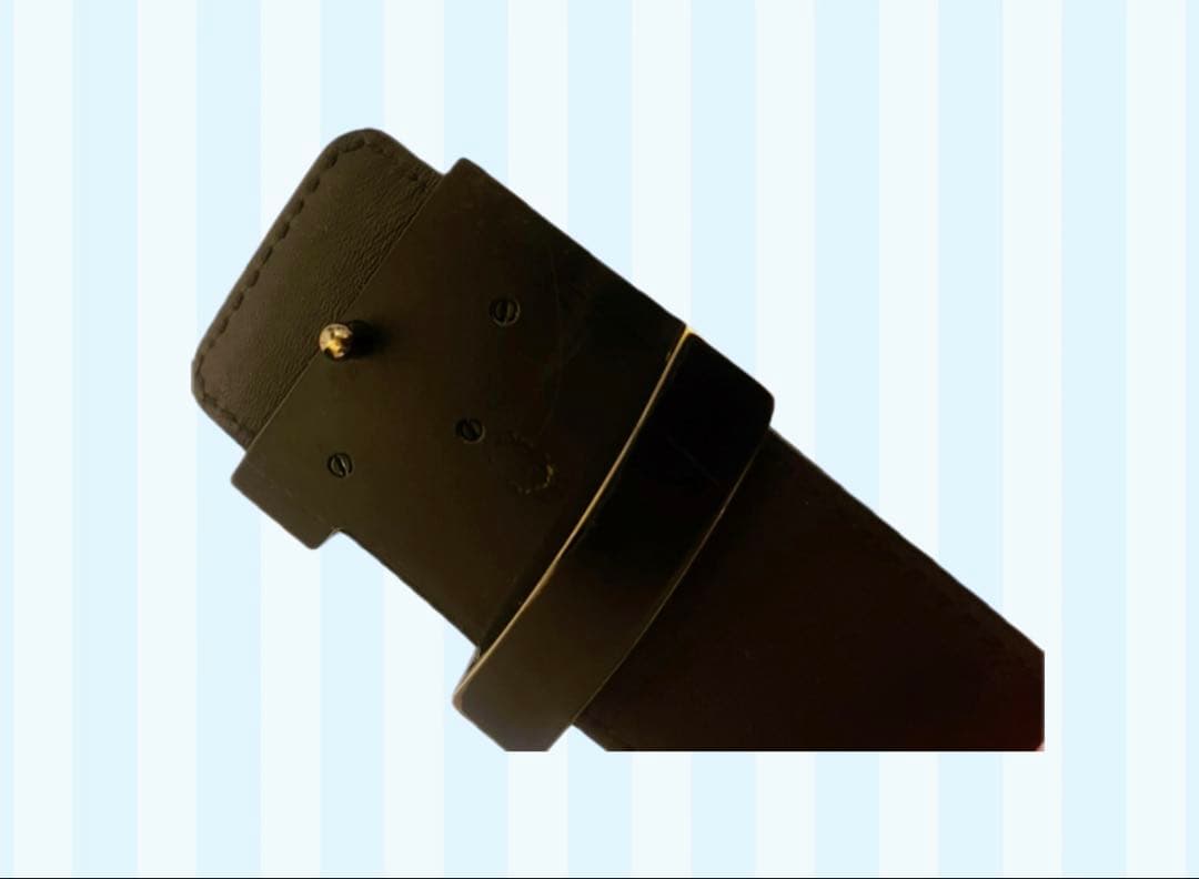 ルイヴィトン louisvuitton サン チュールベルト LV