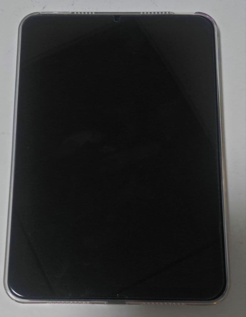 iPad mini 6 256GB　純正ApplePencil【ケースフィルム】