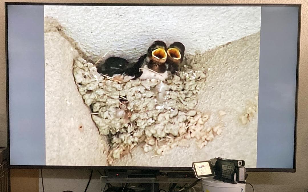 SONY デジタルビデオカメラレコーダー DCR-TRV17