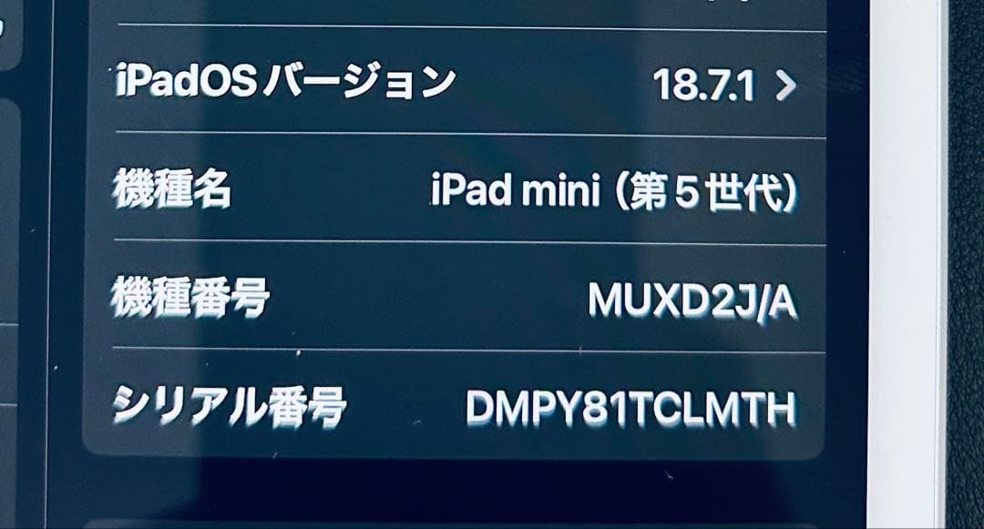 盛*翔様 iPad mini 第5世代 256GB セルラーモデル