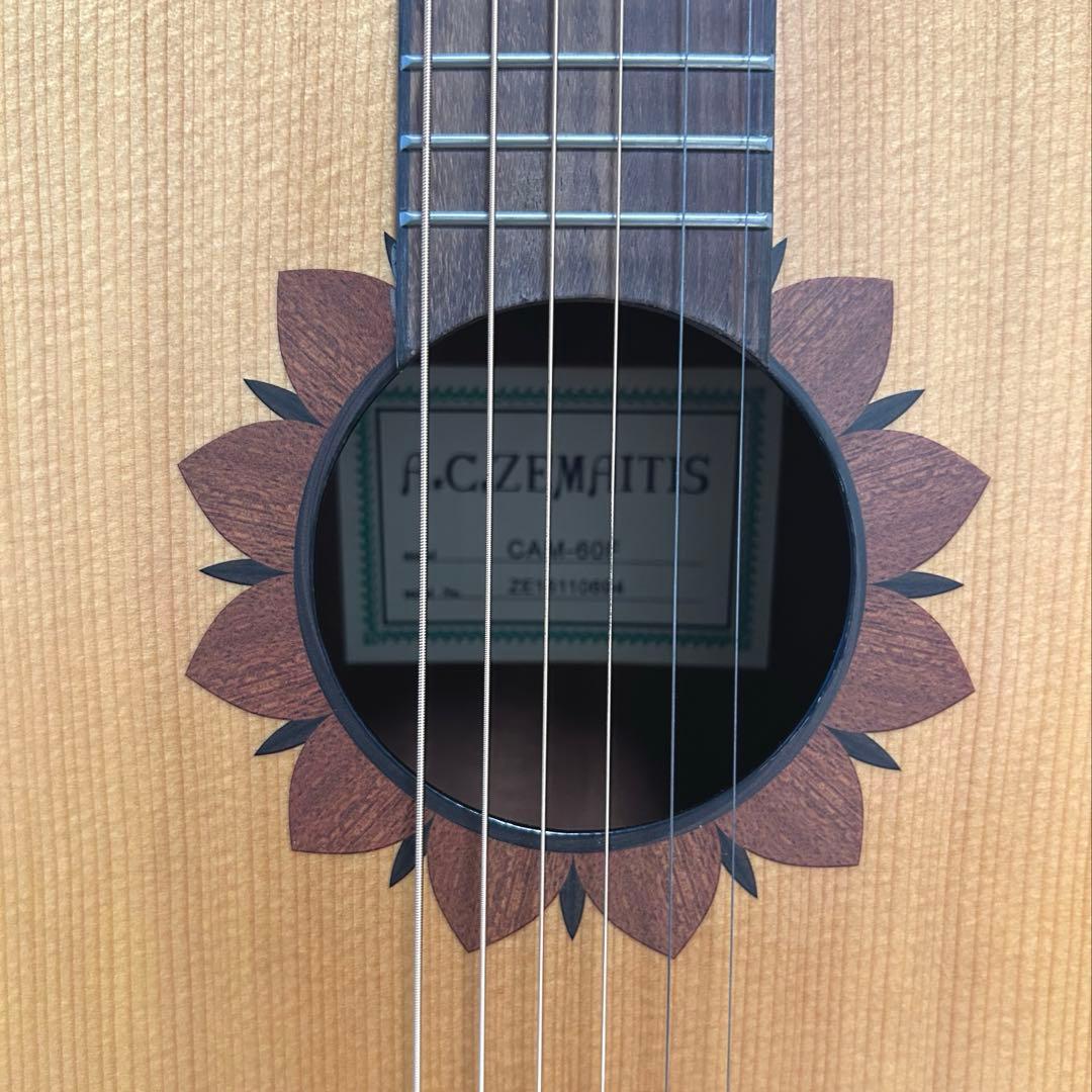 ミニアコースティックギター / ソフトケース ピック付き