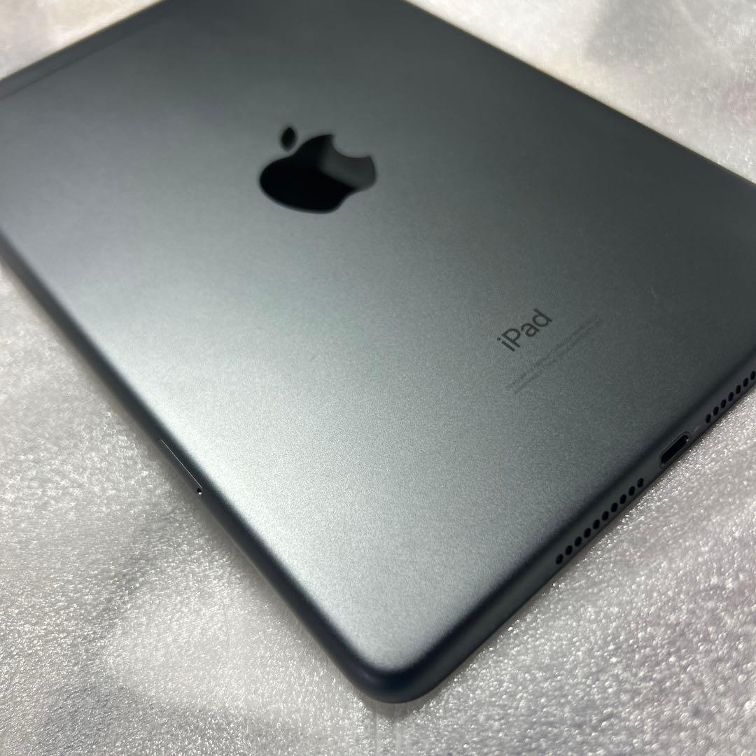 iPadmini 5 Wi-Fi Cellular 64GB バッテリー91%