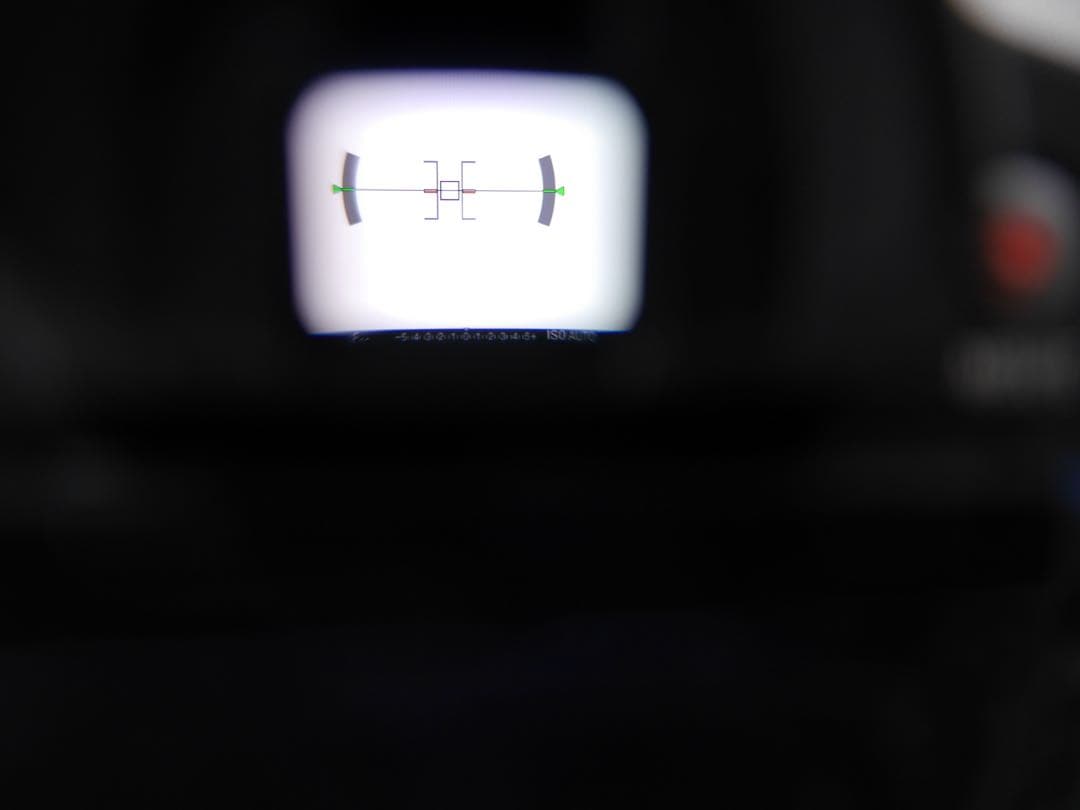 SONY α77 SLT-A77 本体